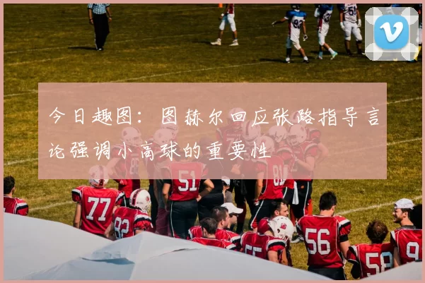 今日趣图：图赫尔回应张路指导言论强调小高球的重要性